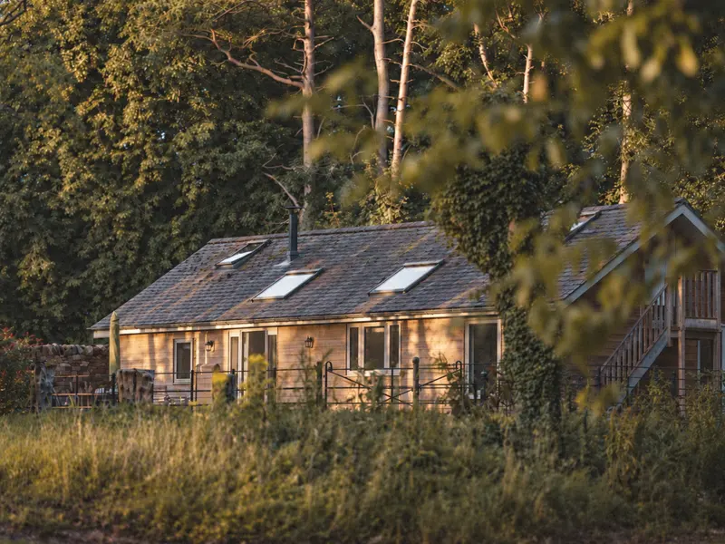 The Old Workshop in its woodland garden, lit by low sun