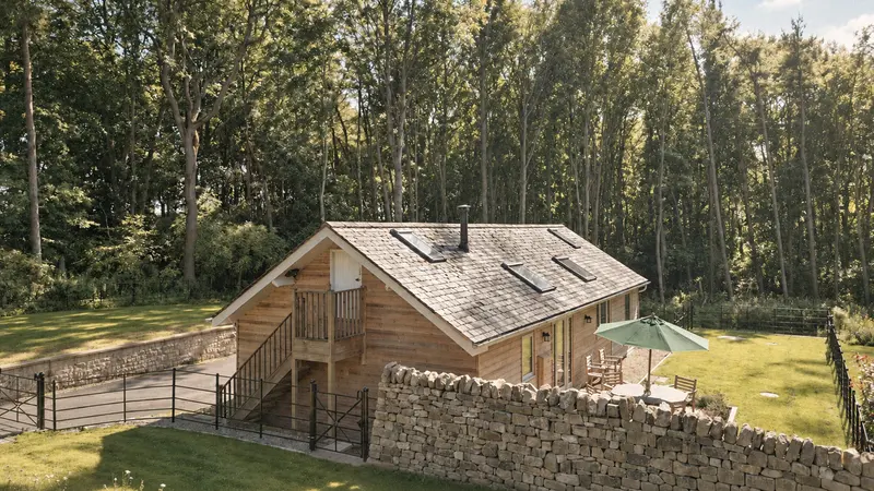 The workshop roof and stone garden wall against the woodland